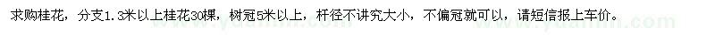 求購桂花