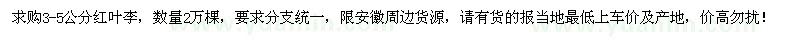 求購3-5公分紅葉李2萬棵