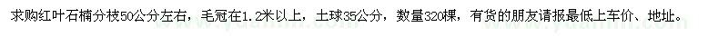 求購紅葉石楠分枝50公分左右