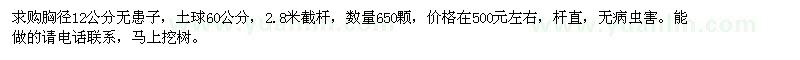 求購胸徑12公分無患子