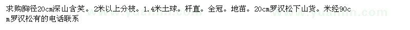 求購胸徑20cm深山含笑、米經(jīng)20cm羅漢松