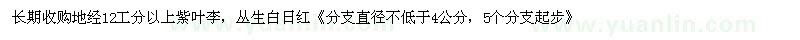 求購(gòu)地經(jīng)12工分以上紫葉李，叢生白日紅