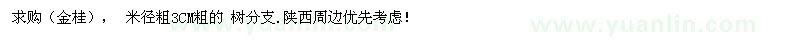 求購金桂