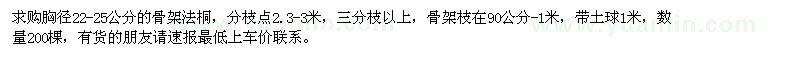 求購法桐