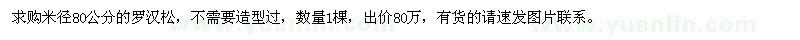 求購米徑80公分的羅漢松