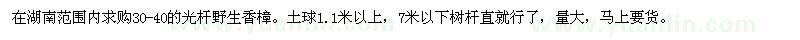 求購30-40的野生香樟