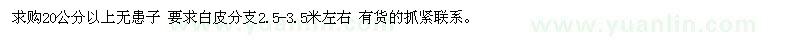 求購20公分以上無患子