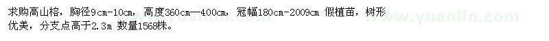 求購胸徑9cm-10cm高山榕