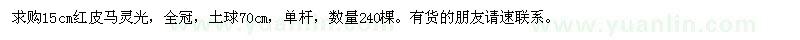 求購15cm紅皮馬靈光
