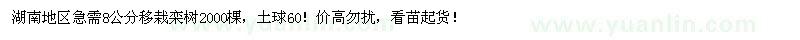 求購移栽欒樹8公分2000棵 