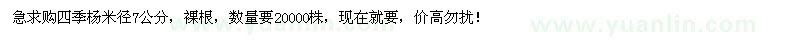 求購四季楊米徑7公分 