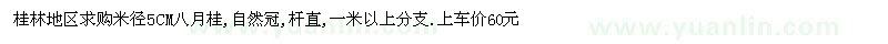 求購八月桂米徑5CM 