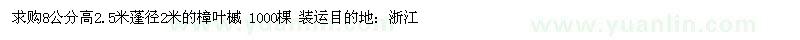 求購樟葉槭8公分高 