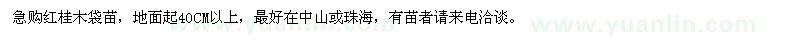 求購紅桂木袋苗40CM以上 