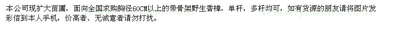 求購(gòu)香樟胸徑60CM以上 