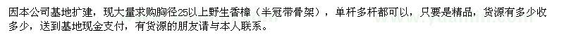 求購野生香樟胸徑25以上 