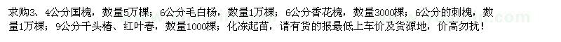 求購(gòu)國(guó)槐、毛白楊、香花槐、刺槐