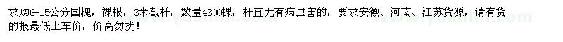 求購(gòu)6-15公分國(guó)槐4300棵