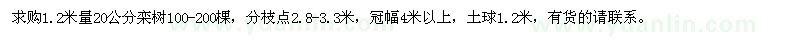 求購20公分欒樹
