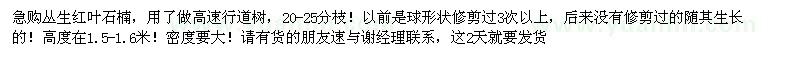 求購急叢生紅葉石楠