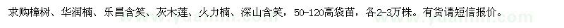 求購樟樹,華潤楠,樂昌含笑,深山含笑