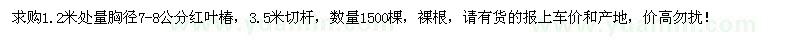 求購1.2米處量胸徑7-8公分紅葉椿1500棵