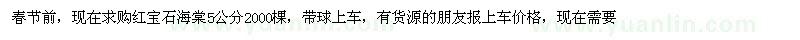 求購紅寶石海棠