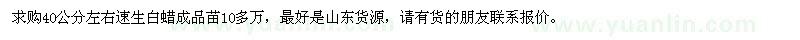 求購(gòu)40公分左右速生白蠟成品苗