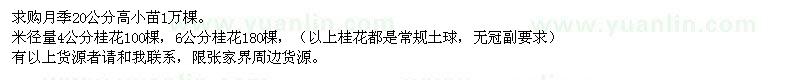 求購(gòu)月季、桂花 