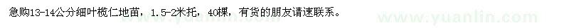 求購(gòu)13-14公分細(xì)葉欖仁地苗