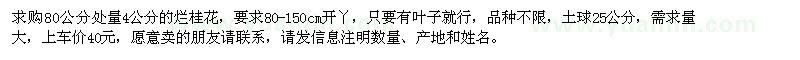 求購(gòu)80公分處量4公分的爛桂花