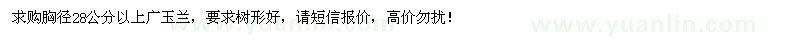 求購(gòu)廣玉蘭胸徑28公分以上 