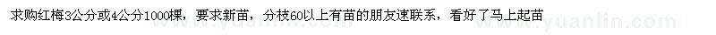 求購紅梅3公分或4公分