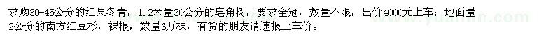求購30-45公分的紅果冬青,30公分的皂角樹
