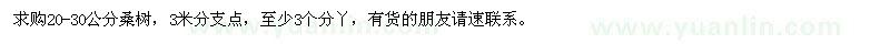 求購(gòu)20-30公分桑樹(shù)