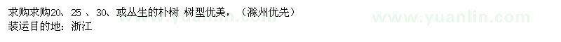 求購叢生樸樹20-30公分 