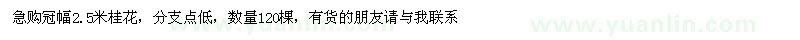 求購急購冠幅2.5米桂花 數(shù)量120棵