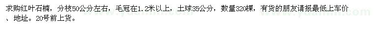求購紅葉石楠