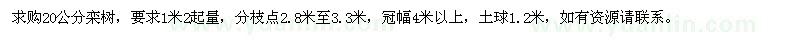 求購20公分欒樹