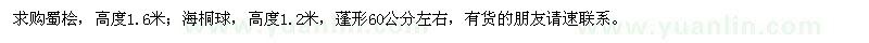 求購蜀檜,海桐球