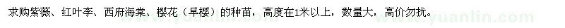 求購紫薇,紅葉李,西府海棠,櫻花（早櫻）的種苗