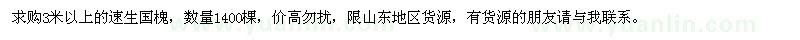 求購3米以上的速生國槐
