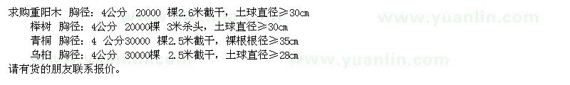 求購4公分重陽(yáng)木、櫸樹(shù)、青桐、烏桕