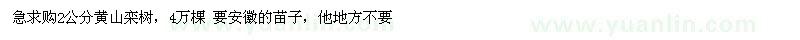 求購2公分黃山欒樹