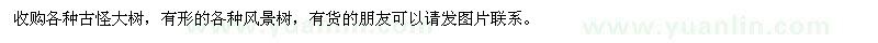 求購各種古怪大樹 