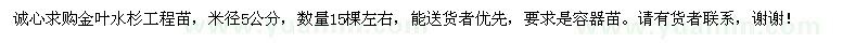 求購金葉水杉工程苗