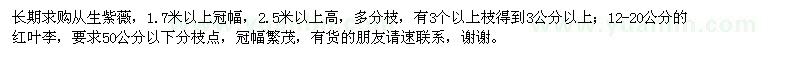 求購從生紫薇,12-20公分的紅葉李