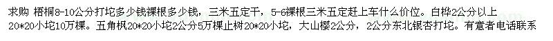 求購梧桐，白樺，五角楓，大山櫻