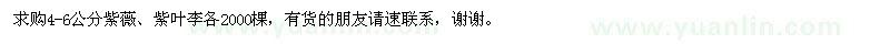 求購紫薇、紫葉李