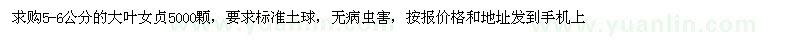 求購5-6公分的大葉女